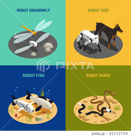 Bio Robots Isometric Concept 91713754