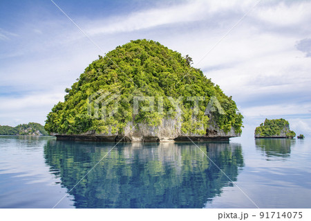 パラオ共和国　ロックアイランドの島と鏡面になった青い海 91714075