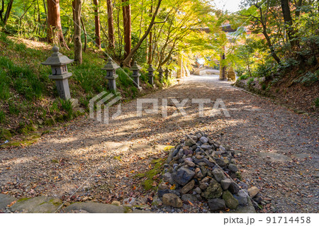 滋賀県多賀町　秋の胡宮神社の参道と鳥居 91714458