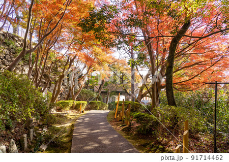 滋賀県近江八幡市 秋の紅葉が美しい八幡山ロープウェーの山頂駅と村雲御所への道 滋賀県近江八幡市 秋の紅葉が美しい八幡山ロープウェーの山頂駅と村雲御所への道 91714462