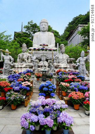 壷阪寺 奈良県 壷阪寺 奈良県 91714668
