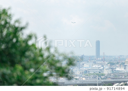 住宅街で暮らす野良猫 住宅街で暮らす野良猫 91714894