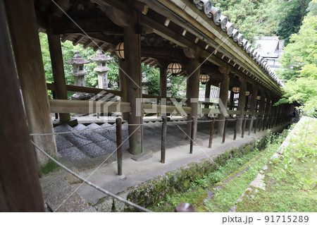 長谷寺 奈良県 長谷寺 奈良県 91715289