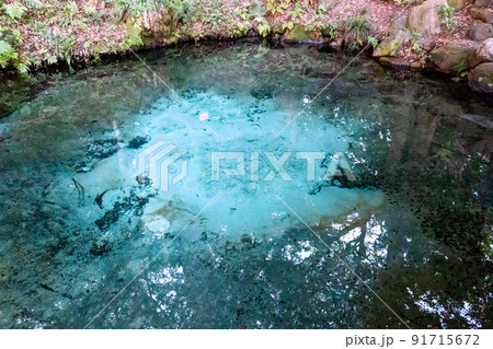 泉神社の泉3 91715672