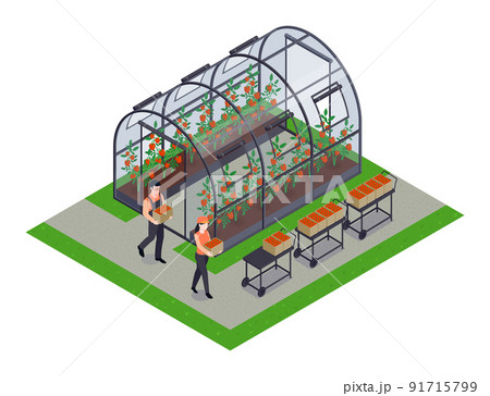 Greenhouse Isometric Element 91715799