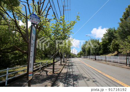 大阪神戸のベットタウン宝塚市中山桜台 91716192