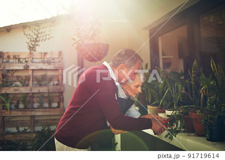 Doing a bit of gardening. Shot of a loving senior couple garedening outside. Doing a bit of gardening. Shot of a loving senior couple garedening outside. 91719614