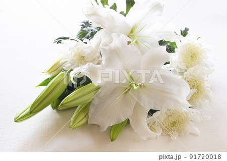 白い花 91720018