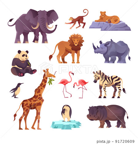 Zoo Animals Set 91720609