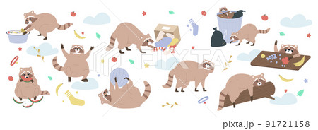 Raccoon Flat Background 91721158