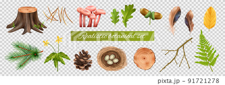 Botanical Icons Transparent Set Botanical Icons Transparent Set 91721278