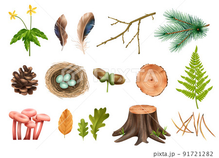 Realistic Forest Icons Collection 91721282