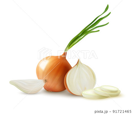 Realistic Onion Composition 91721465