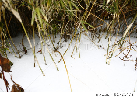 太魯閣 魯閣 タロコ 91721478