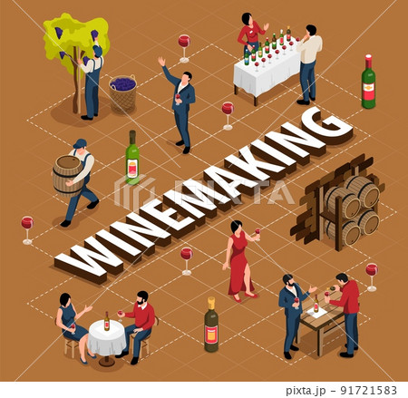 Wine Isometric Flowchart 91721583