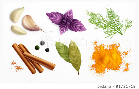 Spices And Herbs Realistic Set Spices And Herbs Realistic Set 91721718