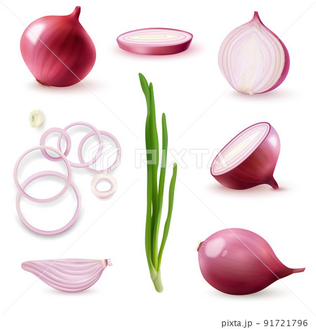 Red Onion Realistic Set Red Onion Realistic Set 91721796