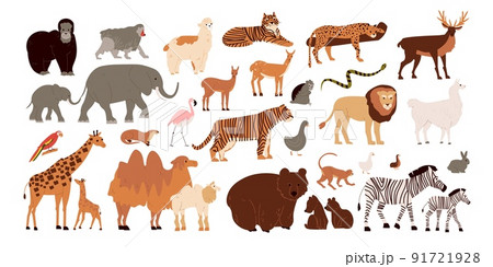 Zoo Animals Set Zoo Animals Set 91721928