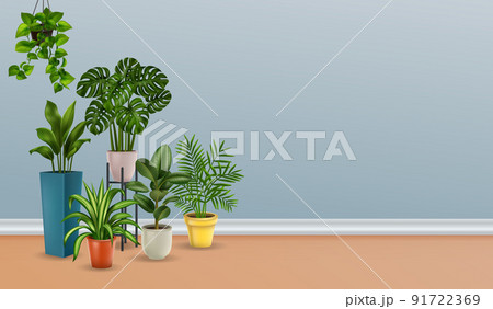 Plants Realistic House Plants Realistic House 91722369