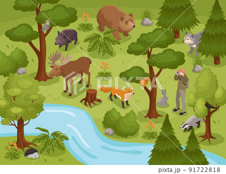 Forest Life Isometric Composition Forest Life Isometric Composition 91722818