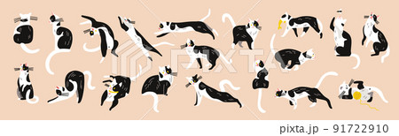 Black White Cats Set 91722910