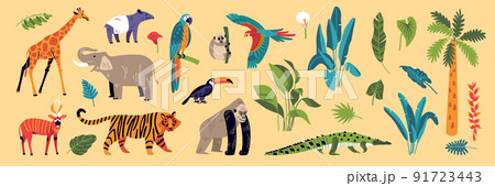 Jungle Nature Color Set Jungle Nature Color Set 91723443
