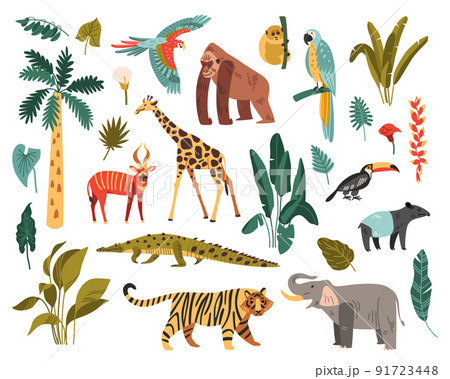 Jungle Habitat Icon Set 91723448