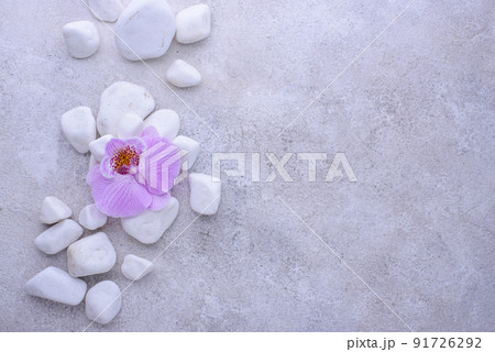 Spa concept. Natural beauty cosmetics Spa concept. Natural beauty cosmetics 91726292