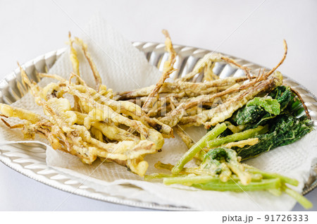 葉ごぼうの天ぷら 91726333