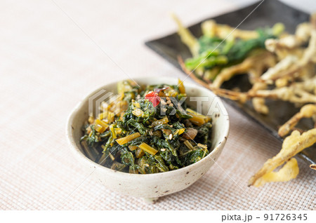 青菜炒め 葉ごぼう 青菜炒め 葉ごぼう 91726345