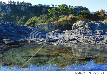 済州島 夏 海 91726971