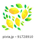 手書きのレモンイラスト 91728910
