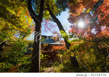 薦神社の紅葉（大分県中津市） 91729770