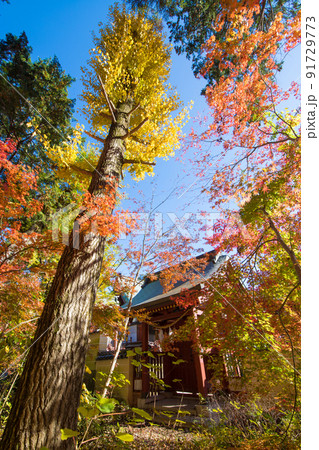 薦神社の紅葉（大分県中津市） 91729773