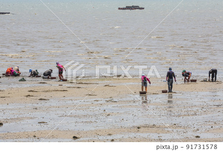 自然 風景 景色 91731578