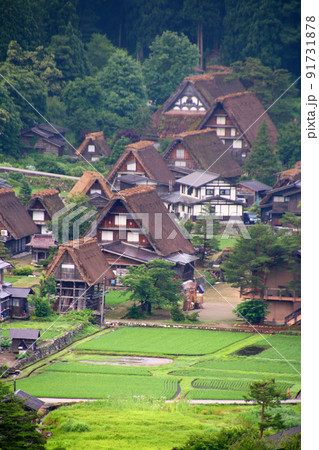 白川郷・世界遺産（岐阜県・白川村） 91731878