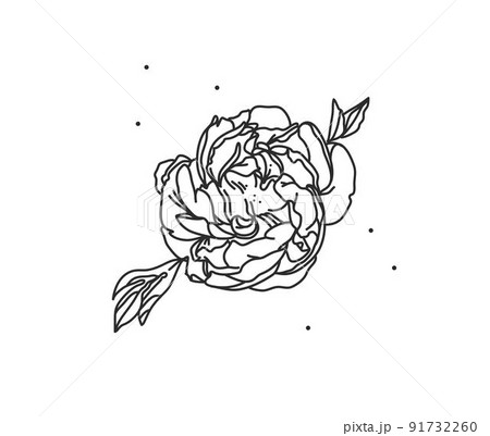 Hand drawn vector abstract stock flat graphic illustration with logo element of line flower art of peony in simple style for branding,isolated on white background.Sacred magic boho feminine concept Hand drawn vector abstract stock flat graphic illustration with logo element of line flower art of peony in simple style for branding,isolated on white background.Sacred magic boho feminine concept 91732260