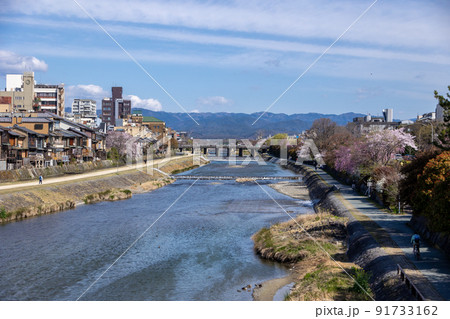 春の鴨川 91733162