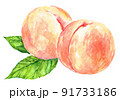 桃と葉　水彩手描きイラスト 91733186