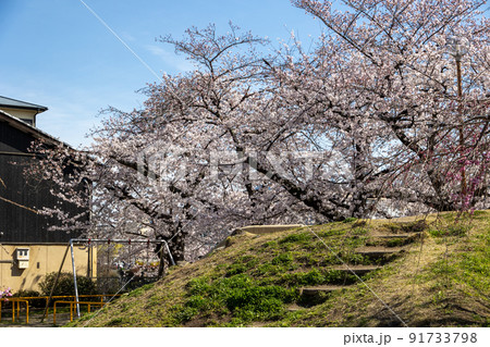 京都先斗町 91733798