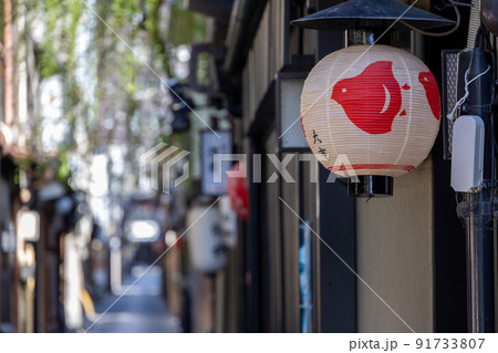 京都先斗町 京都先斗町 91733807