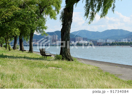 真夏の琵琶湖岸の風景 91734084