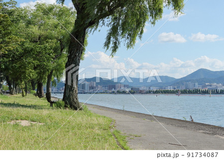 真夏の琵琶湖岸の風景 真夏の琵琶湖岸の風景 91734087