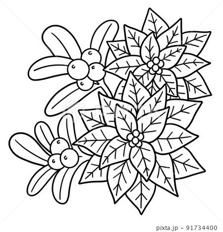 Christmas Poinsettia Isolated Coloring Page  91734400