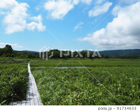 夏の田代平 夏の田代平 91734633