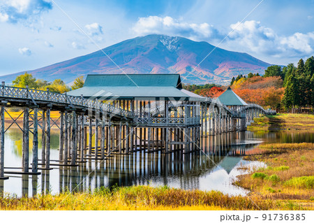 青森県鶴田町 鶴の舞橋と岩木山　～紅葉～ 91736385