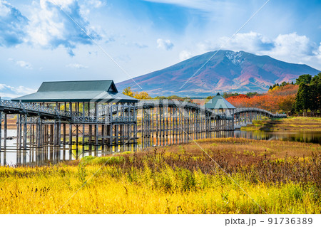 青森県鶴田町 鶴の舞橋と岩木山 ~紅葉~ 青森県鶴田町 鶴の舞橋と岩木山 ~紅葉~ 91736389
