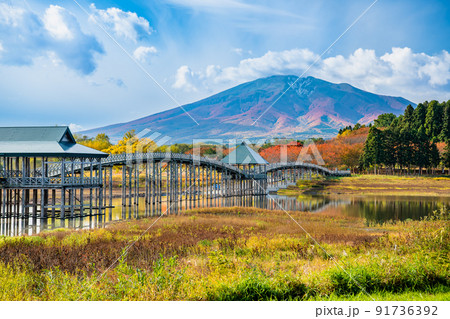 青森県鶴田町 鶴の舞橋と岩木山　～紅葉～ 91736392