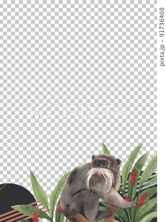 Monkey in jungle frame watercolor png 91736408