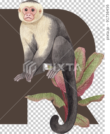 Monkey in jungle character alphabet watercolor Monkey in jungle character alphabet watercolor 91736456
